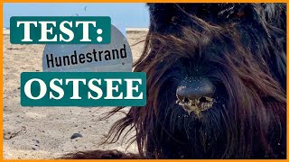 HundestrandTEST bei Kühlungsborn Ostsee Urlaub mit Hund in Deutschland [upl. by Mathur]