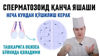 ЭРКАК УРУҒИ ЯШОВЧАНЛИГИ БОЛА ҚИЛИШГА НЕЧА КУНДАН АЛОҚА ҚИЛИШИ КЕРАК ТАШҚАРИГА ОҚИЗСА БОЛА БЎЛАЛИМИ [upl. by Uel]