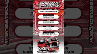 Line Up Bus Aneka Bintang Sabalong X Javas Queen X Sun Shadow busmania shorts [upl. by Rimidalg643]