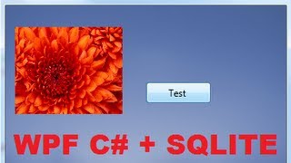 C WPF Tutorial 3 SQLite database connection with WPF C PART 12 [upl. by Eetnom374]