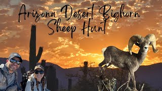 Arizona Desert Bighorn Sheep Hunt [upl. by Abbotsen]