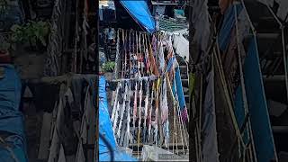 mumbai dhobi ghat  youtubeshorts [upl. by Chlo]