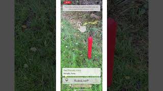 For Golfrules RulesLive® App golf golftips golfswing [upl. by Farkas]