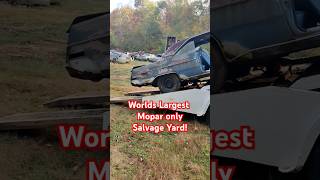 Worlds Largest Mopar Salvage Yard getting Cleaned up chrysler automobile mechanic vehicle car [upl. by Isabea]