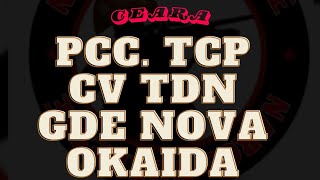 CEARÁ 6 facções atuando no Ceará PCC CV GDE TDN Nova OKAIDA TCP [upl. by Ehr]