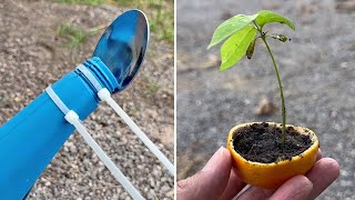 12 Simple Gardening Tips and Tricks [upl. by Nahtnamas]