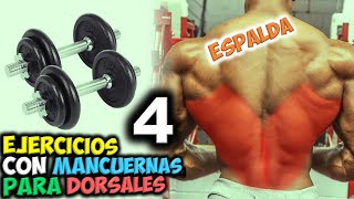 Los MEJORES ✔ 4 EJERCICIOS Con MANCUERNAS 👉 Para Unos DORSALES Musculosos  ESPALDA Ancha [upl. by Aitra]