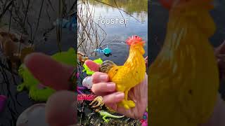 Kids Animal Name Learning Fun at the Pond Cat Dolphin Caterpillar Rooster Hammerhead Shark [upl. by Anaila]