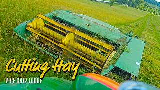 Cutting Hay With A CHEAP John Deere Hay Conditioner [upl. by Airotnahs119]