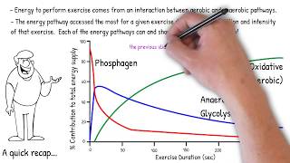 Understanding Aerobic and Anaerobic Endurance [upl. by Enniroc]