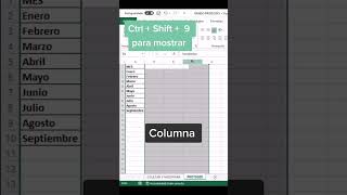 😱Ocultar y mostrar columnas y filas en Excel exceltips trucos exceltutorial excel tips hack [upl. by Laius89]