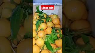 Mandarin orange fruits viralvideo youtubeshort agriculture orange healthyfood 🍊🍊🍊🍊 [upl. by Bouley]