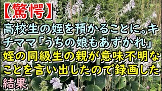 【驚愕】高校生の姪を預かることに。キチママ「うちの娘もあずかれ」姪の同級生の親が意味不明なことを言い出したので録画した結果【痛快・スカッとジャパン！】 [upl. by Robinia]