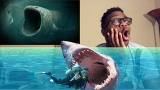 5 Most Mysterious amp Unexplained Sea Creatures REACTION [upl. by Alitha]