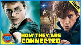 How Harry Potter and Fantastic Beasts Movies are Connected  Explained in Hindi [upl. by Varien355]