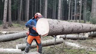 Lumberjack Little Harvester and Very Good Work in the Forest [upl. by Sheldon429]