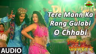 Tere Mann Ka Rang Gulabi O Chhabi Full Audio Song  Dulhan Chahi Pakistan Se  Pradeep Pandey [upl. by Llain111]