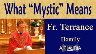 FS 88 End Game Part 2  Aug 13  Homily  Fr Terrance [upl. by Bertine]