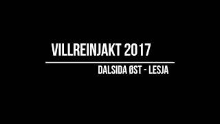 Villreinjakt på Dalsida Lesja [upl. by Botzow]