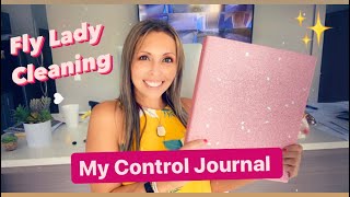 Hoarders ❤️ My Simple Control Journal  How I Use The FLYLADY SYSTEM  Morning Routines [upl. by Bowers]