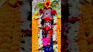 6 November 2024shortsyoutube viralvideo shyamasangeet trandingshorts joy maa kali [upl. by Essenaj]