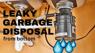 Leaking Garbage Disposal Quick Fix Trick Revealed Leaky Garbage Disposal From Bottom DIY Repair [upl. by Long]