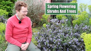 8 Excellent Spring Flowering Shrubs amp Trees [upl. by Kirkpatrick]