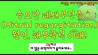 승모판막 폐쇄 부전증 승모판역류증 Mitral regurgitation 원인과 해부학적 기전 [upl. by Elleirol]