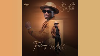 Sidy Diop  Feeling PACC Feat Astar Audio Clip Officiel  Un extrait de lalbum SIKKI SAKKA [upl. by Shay]