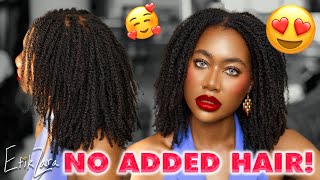 HowTo JUICY MicroMINI TWISTS on ANY Hair Type ZERO EXTENSIONS 4c4b4a  EfikZara [upl. by Yecram]