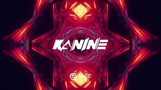 Kanine  Chemicals [upl. by Tarryn470]