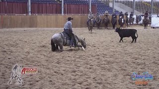 2022 Arbuckle Mountain Futurity 4YO Open Champion Wes Galyean Riding Third Edge [upl. by Atekehs]