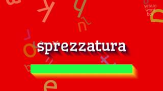 How to say quotsprezzaturaquot High Quality Voices [upl. by Enilkcaj]