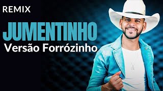 Jumentinho Versão Forrózinho Guilherme Silva Remix [upl. by Rozina]