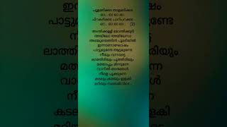 choolamadikkada Song Lyrics  Kondal  Antony Varghese Pepe  Raj B Shetty  Ajith Mampally  Sam CS [upl. by Ahsitniuq]