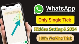 Whatsapp no double tick settings 2024  Whatsapp single tick only  Hide double tick in whatsapp [upl. by Llertrac]