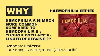 Why Hemophilia A is much more common compared to Haemophilia B [upl. by Rosenblum]