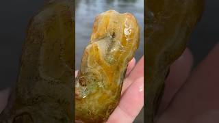 Beautiful Banded Agate Carnelian I Willamette River Oregon shorts rockhounding [upl. by Jonas768]