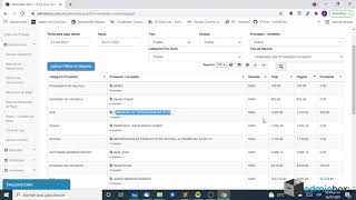Reporte de Pagos Cuentas Pagar y registro manual de factura de proveedor [upl. by Skilken829]