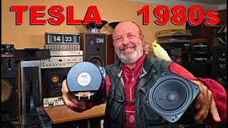 Reproduktory TESLA ARZ 4604  Vintage TESLA SPEAKERS 1980s [upl. by Nelleoj216]