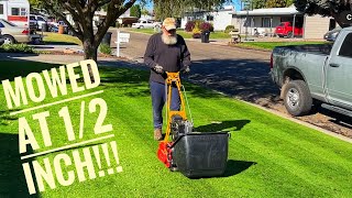 Super short cut lawn update [upl. by Lledualc]