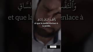 Abdallah Matroud Quran recitation islamic islam quran videoviral 1milion quranrecitation [upl. by Akema]