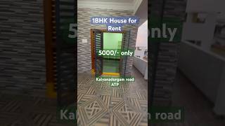 1bhk house for rent in Anantapur kalyandurgam road [upl. by Ahsekim329]