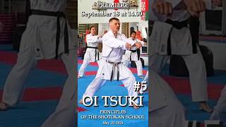 Oi Tsuki karate piatsko martialarts practicalkarate super zuki karatecoach punch 2024 空手道 [upl. by Melisse316]