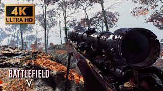 French War Story quotTirailleurquot  Battlefield 5  Gameplay Walkthrough [upl. by Slohcin107]