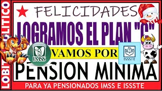 719💜PENSIÒN MÌNIMA 😃😊👍 méxico pension pensiones [upl. by Dinesh]