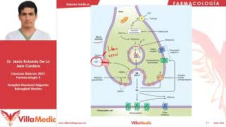 Farmacología del Sistema Nervioso Simpático  Farmacología 3  Villamedic [upl. by Yank]