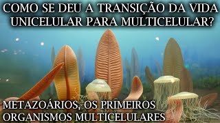 Como a Evolução Salta da Vida Unicelular para Vida Multicelular EP 04 [upl. by Gellman]