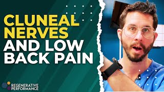 Cluneal Nerves and Low Back Pain  DailyDocTalk 115 [upl. by Krum]