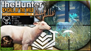 MY RAREST TROPHY SUPER RARE Diamond ALBINO Whitetail Deer Call of the wild [upl. by Miah897]